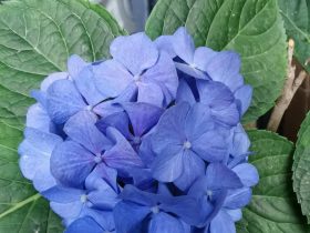 婚外情男人竟然见不得我过的好(婚外情男人的惨痛)