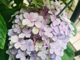 婚外情相处5年的感悟(关于婚外情你不知道的两个真相)