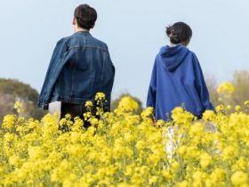 女人有了婚外情如何回归家庭(经历婚外情的女人如何回归家庭)