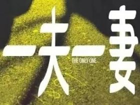 保障婚姻自由原则的禁止性规定(婚姻法取消婚姻限制是什么意思)