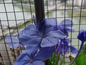 发生婚外恋情都逃不掉这三种结局(出轨女人的婚外情能维持多久)