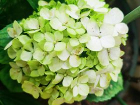 婚外情中再出轨还能相处吗(老公出轨后怎么处理婚外情)