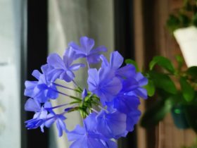 婚姻和婚外情的真相(如果有了婚外情余生难逃三个结果)