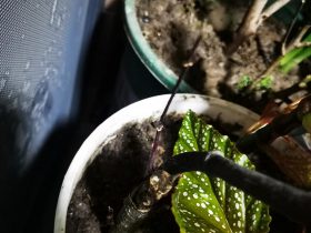 老公婚内精神出轨暧昧聊天怎么办(异地老公精神出轨我应该怎么办)