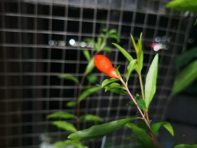 婚外恋被发现了还在偷偷聊天(盘点婚外恋聊天记录)