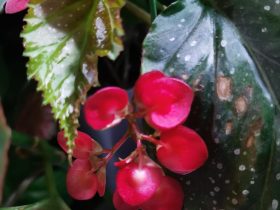 要不要揭露情人的婚外情(婚外情的男女都逃不掉这三种报应)