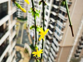 婚外情：男的不离婚是因为没钱！女的不离婚是因为小孩！