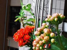 婚外情：没想看下去，就想说，女人为钱，男人为刺激