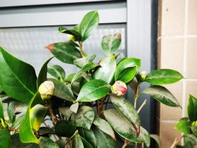 婚外情男人说出自己出轨的原因(男人出轨和婚外情的区别)