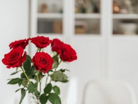 婚外情男人动了真感情(婚外情五年男人会有真感情吗)