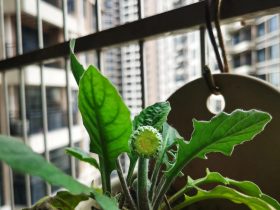 婚外情的出轨男人心理(婚外情男人容易出轨吗)