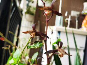 婚外情男人半年不和我见面(婚外情男人回归家庭了还纠缠不休)