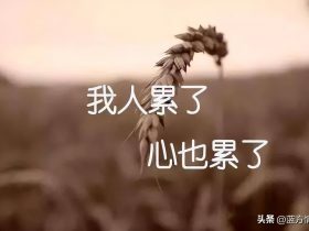 出轨后被老公发觉怎么挽回(出轨被老公发现如何挽回)