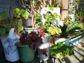 已婚男出轨对小三有感情(已婚男舍不得已婚小三)