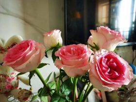 老公认定我有婚外情(老公有婚外情但我还爱他怎么办)