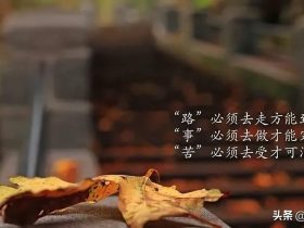 老公出轨女网友我该怎么办(如何原谅打游戏的老公出轨)