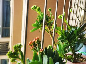 婚外情后我们又重新恋爱了(婚外情两年无数次分手都分不开)