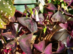 婚外情怎么判断女的对你有意思(有婚外情的女人最害怕听到3句话)