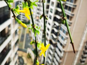 婚外情大结局解析(婚外情结局图解)