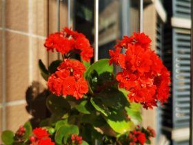 婚外情出轨双方心里都不愿意放弃(有婚外情的女人经常说的六个借口)