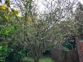 婚外情男人说没有机会做到离婚(婚外情之后你是坚守还是离婚)