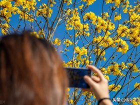 婚外情一个女人变心了有什么情况(婚外情女人变心的几大特征)