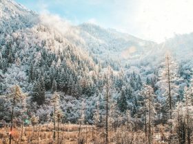 不争是争：遭遇婚外情等，人生难题这种处理方法，才是上上策