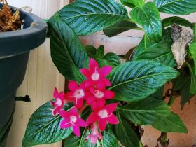 精神出轨和婚外情区别(婚外恋精神出轨怎么彻底摆脱)