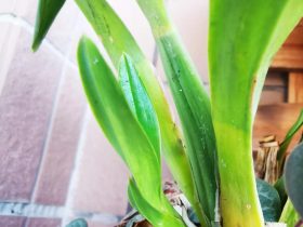 没有感情的婚外情能维持多久(婚外情中再出轨还能相处吗)