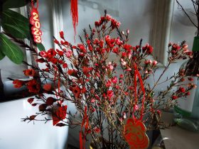 男人婚外情后坚决要离婚的原因(女人出轨离婚后看清婚外情真相)