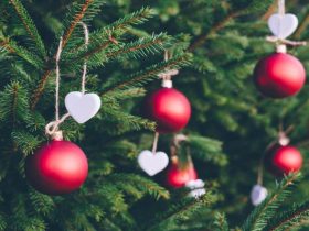 婚外情的女人和老公离婚会幸福吗(婚外情离婚和情人结婚会幸福吗)