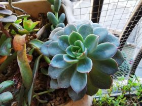 婚外情能让夫妻关系更好吗(婚外情差点毁了我的婚姻)