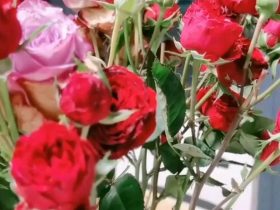 发现老公婚外情每天查他手机(以前的婚外情被老公发现了)