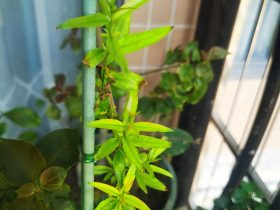 一个真实的婚外情案例(婚外情出轨的真实案例)