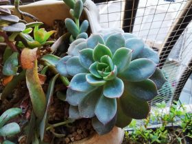 婚外情跟情人结婚后幸福么(和婚外情的女人结婚会幸福吗)