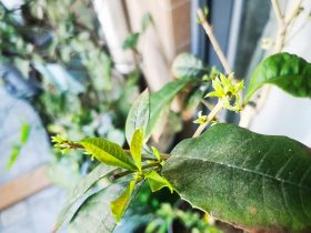 婚外情与婚内出轨有什么不一样(婚外情的根源就是出轨的一方)