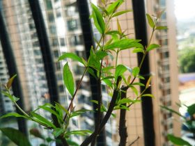 老婆出轨给情人做饭(妻子迷失在婚外情)