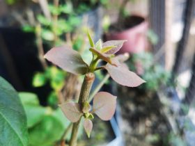 婚外情都有什么潜规则(婚外情五个潜规则你了解过吗)