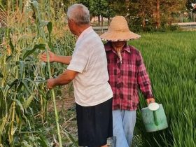 90岁老伴出轨被痛骂后续(60岁老头婚外情子女怎么处理)