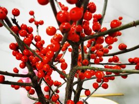 已婚女朋友出轨了还能找到真爱吗(慢慢喜欢上出轨对象怎么办)