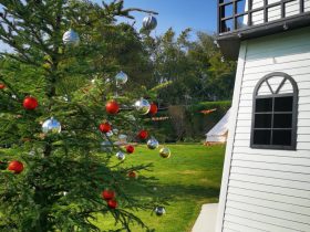 老婆出轨又不想离婚又跟小三联系(婚外情小三为男人离了婚怎么办)