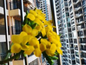 一场婚外情毁了我二十几年的婚姻(老公有了婚外恋我该怎么办)