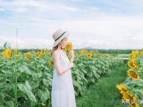 女人一旦有了婚外情是什么想法(女人如何处理婚外情中的内疚心理)