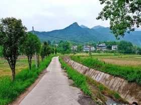 婚外情与婚姻的真相(婚姻和婚外情的真相)