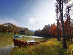 成熟男人对待婚外情的态度(男人婚外情暴露后的三种心态)