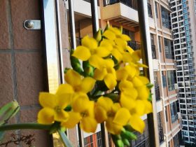 婚外情：老公出轨了，为什么要挽回，女人就应该活得有尊严一点