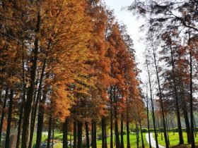 女人婚外情出轨为什么会回头(有过婚外情的女人还能回头吗)