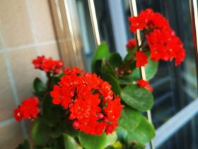 婚外情出轨后和情人结婚(婚外情被老婆发现要和我离婚)