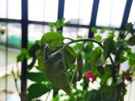 男人婚外情出轨的心理状态(婚外情中出轨男人的心理都有哪些)