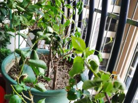 已婚男人出轨怎么分割财产(婚外情出轨一方财产如何分配)